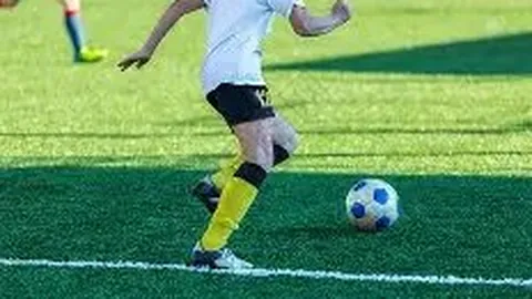 李楠离任致歉：向曾为中国男篮感到失望和伤心的人道歉