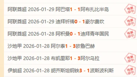 2020-2021德甲第34轮赛事精华盘点