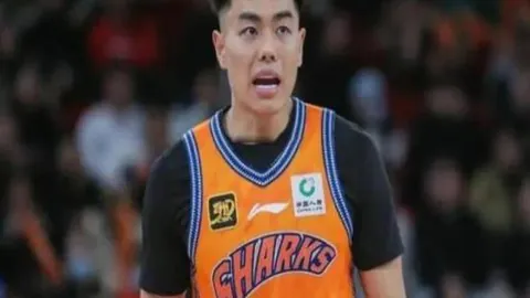 春晚绿茵盛宴：群星璀璨共庆蛇年新春