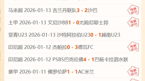 无主之地4Mad EllieDLC玩法攻略